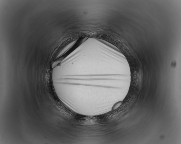 X0000099990612200806201451