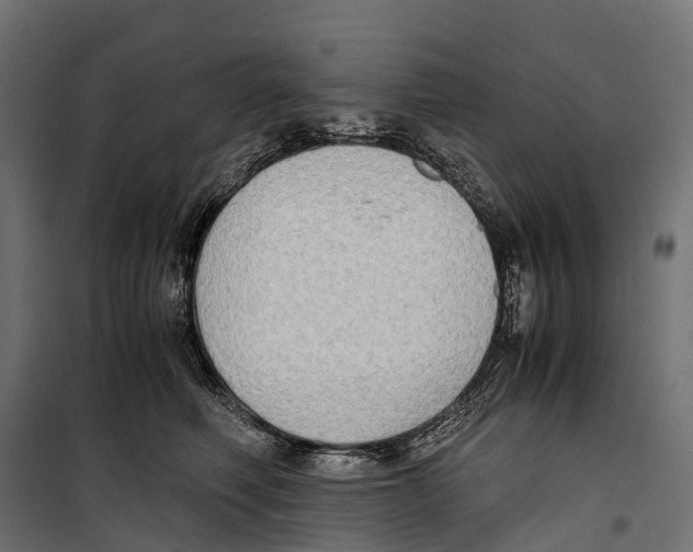 X0000099990614200806201451