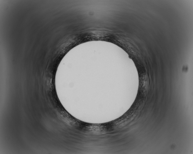 X0000099990615200806201451