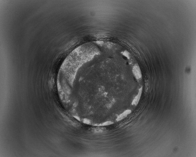 X0000099990618200806201451