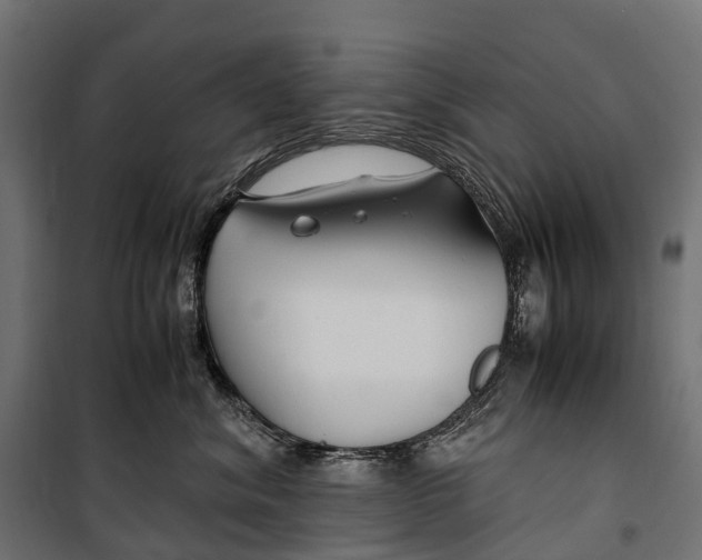 X0000099990620200806201451