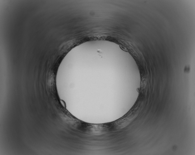 X0000099990623200806201451