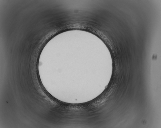 X0000099990625200806201450