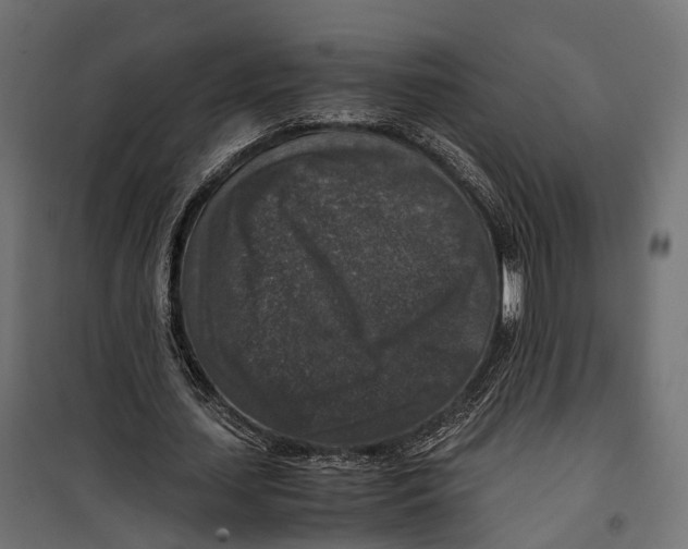 X0000099990627200806201450