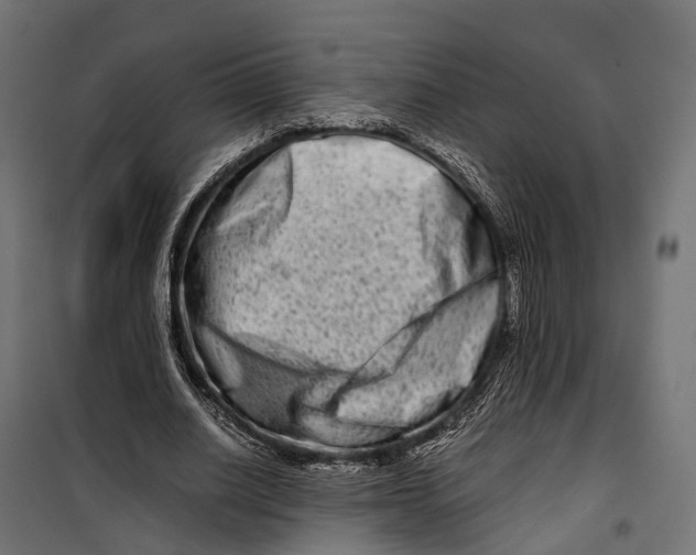 X0000099990630200806201450