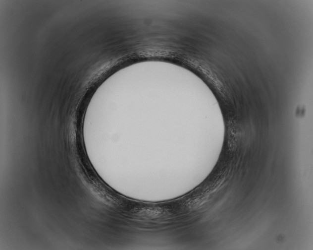 X0000099990631200806201450