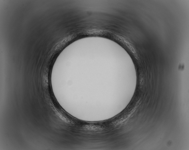 X0000099990633200806201450