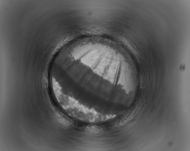 X0000099990634200806201450