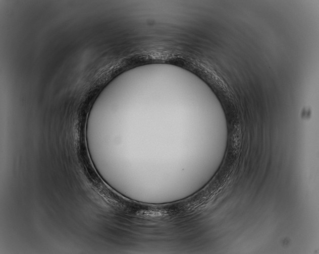 X0000099990639200806201450