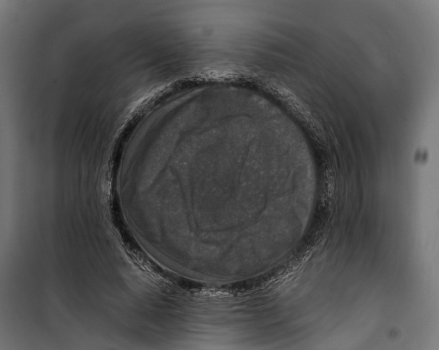 X0000099990640200806201450