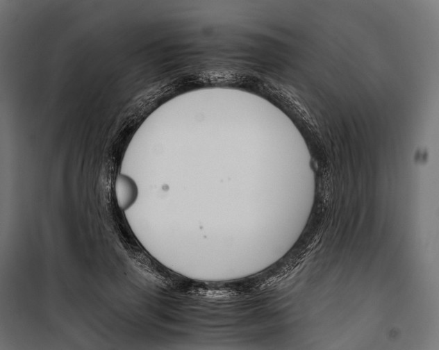 X0000099990645200806201450