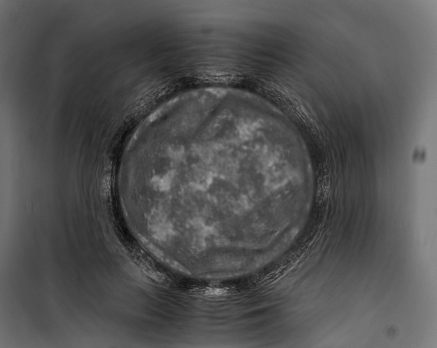 X0000099990647200806201451