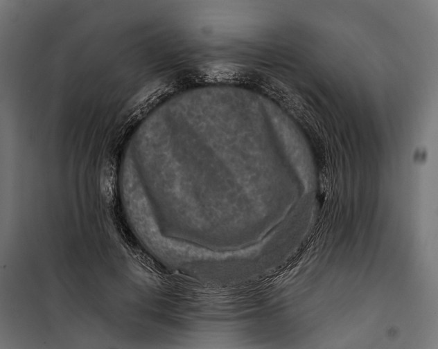 X0000099990648200806201451