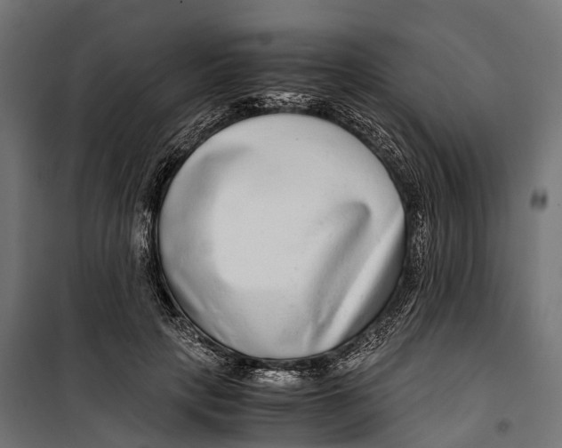 X0000099990649200806201451