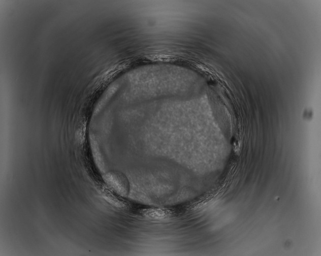 X0000099990652200806201451