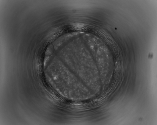 X0000099990653200806201451