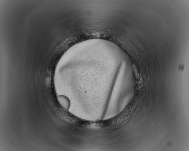 X0000099990656200806201451