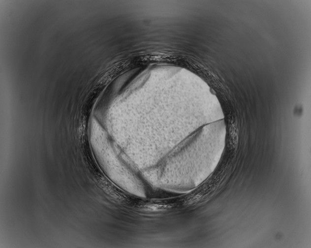 X0000099990657200806201451