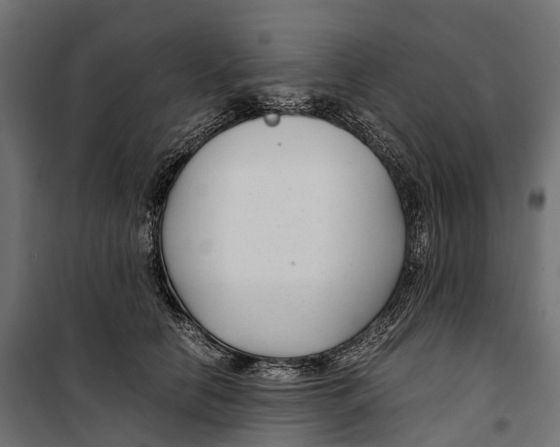 X0000099990658200806201451