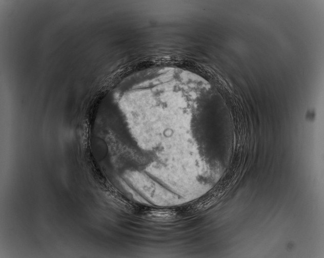 X0000099990659200806201451