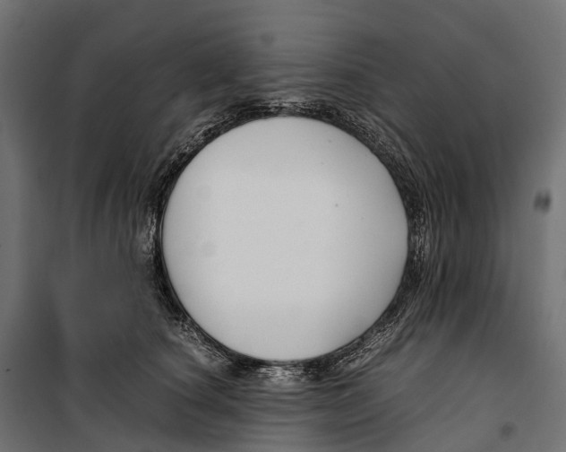 X0000099990660200806201451