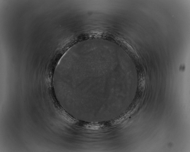 X0000099990661200806201451