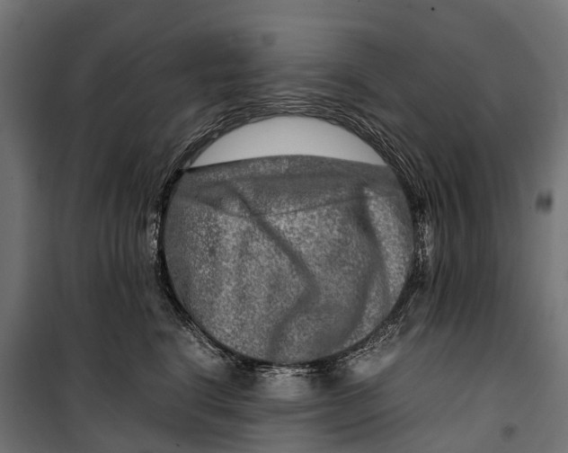 X0000099990664200806201451