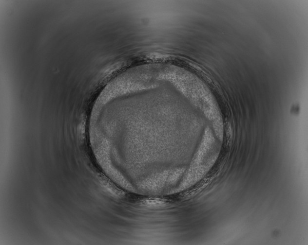 X0000099990668200806201451