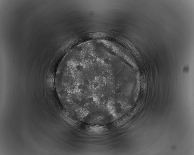 X0000099990669200806201451