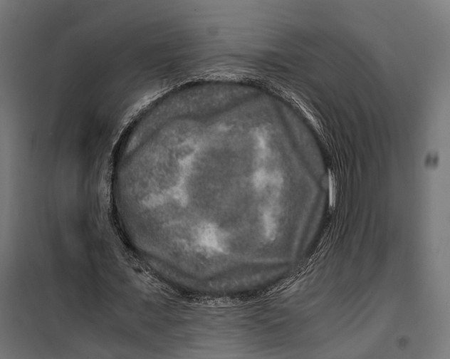 X0000099990675200806201450