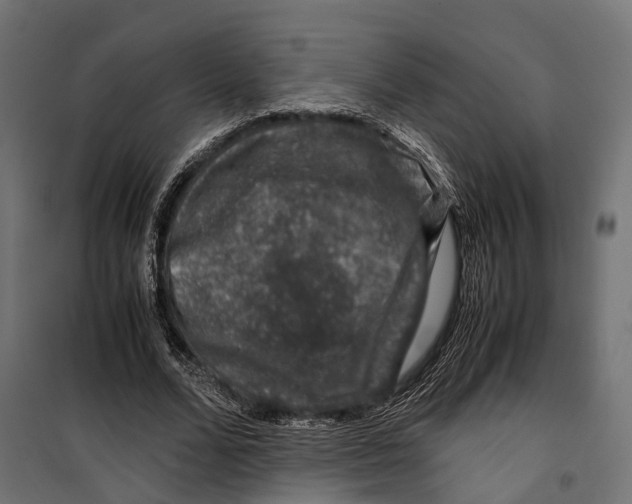 X0000099990680200806201450