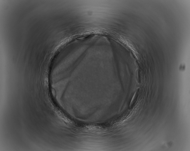 X0000099990681200806201450