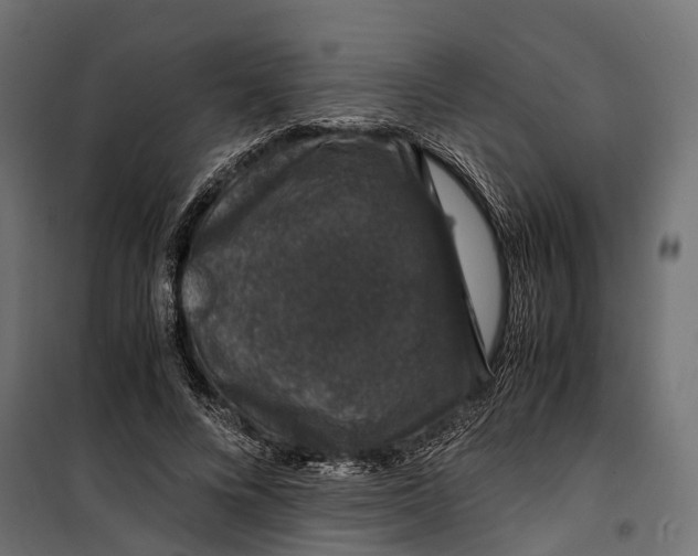 X0000099990688200806201450