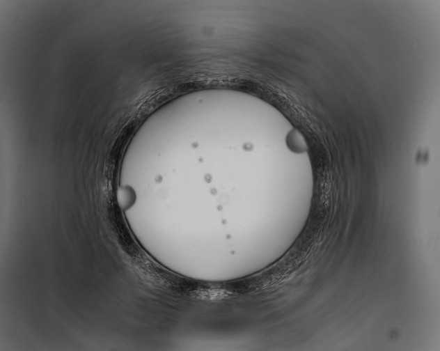 X0000099990695200806201450