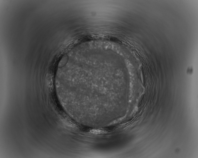 X0000099990699200806201450