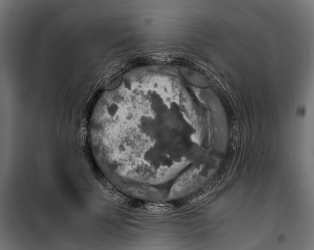 X0000099990707200806201450