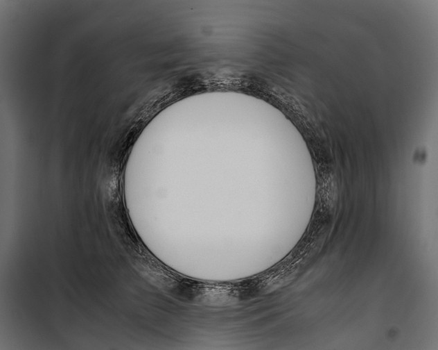 X0000099990709200806201449