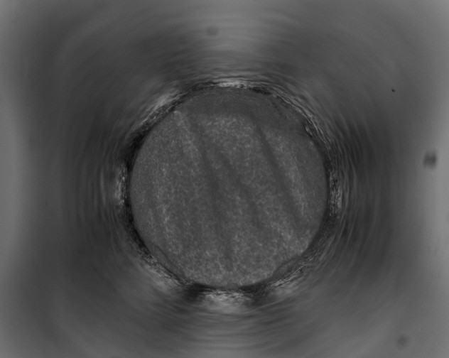 X0000099990712200806201449