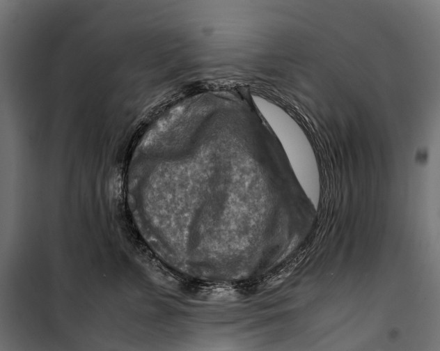 X0000099990715200806201449