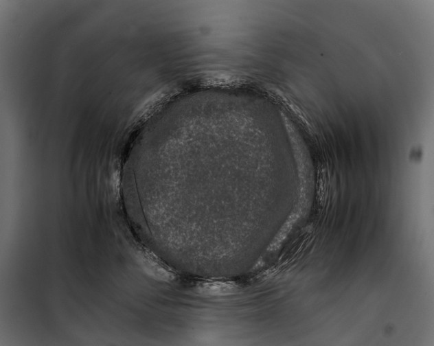 X0000099990716200806201449