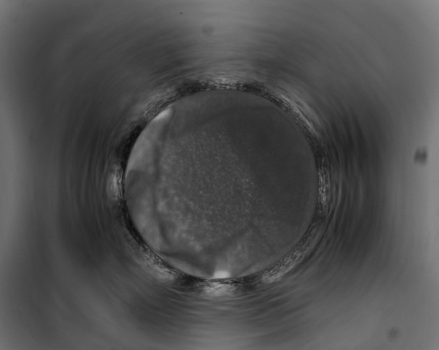 X0000099990718200806201449