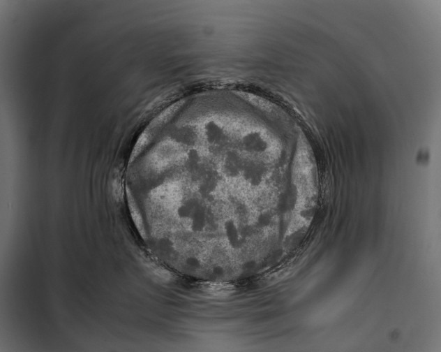 X0000099990719200806201449