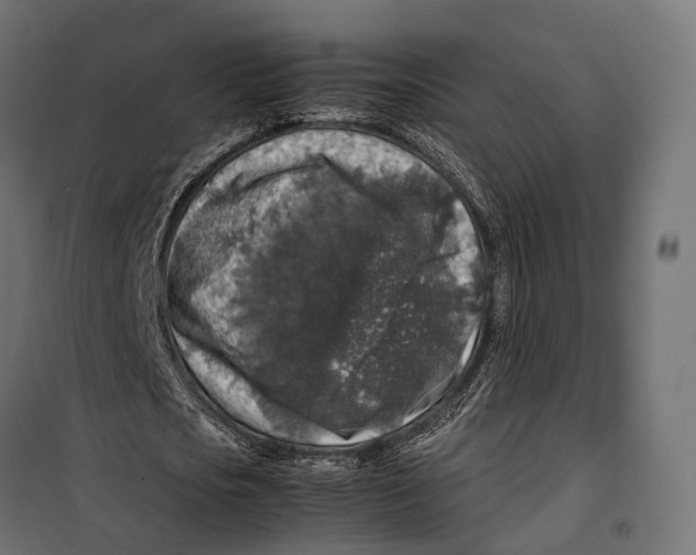 X0000099990721200806201449