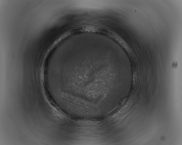 X0000099990722200806201449