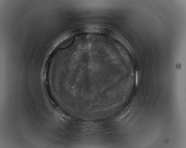 X0000099990723200806201449