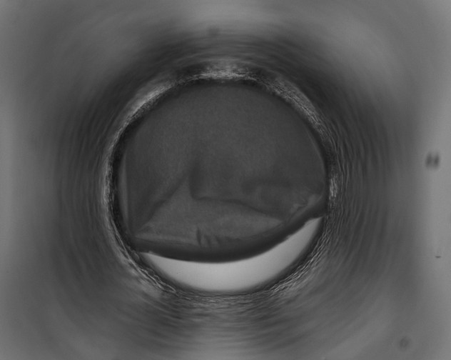 X0000099990724200806201449