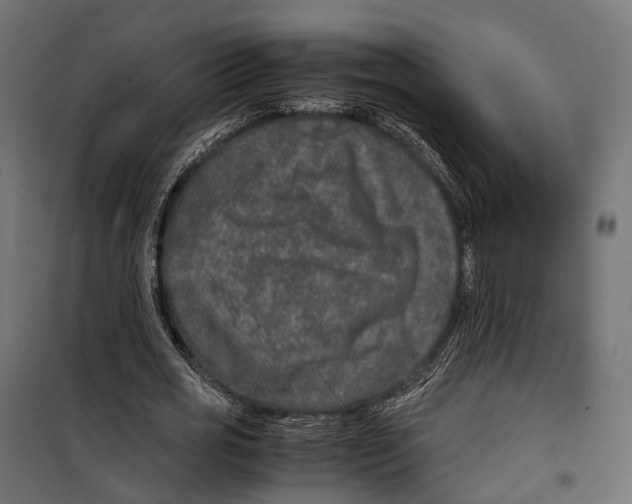 X0000099990725200806201449