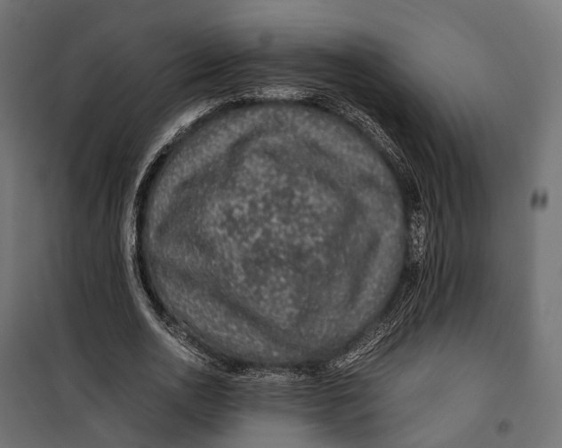 X0000099990726200806201449