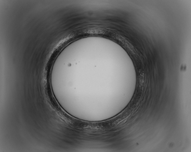 X0000099990727200806201449