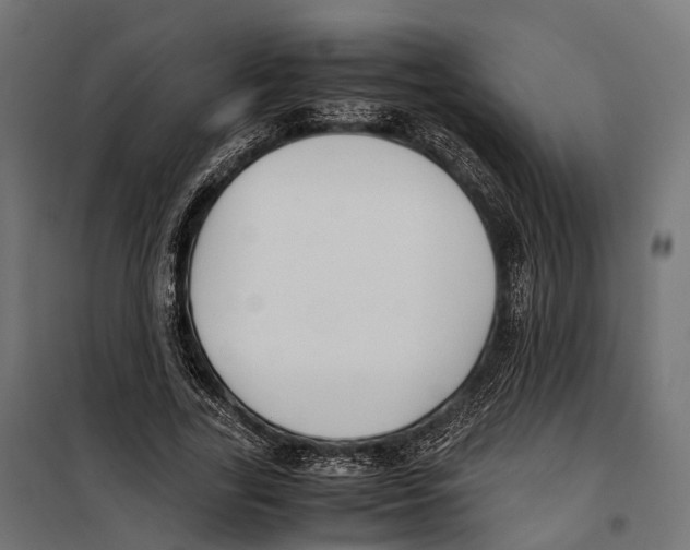 X0000099990731200806201449